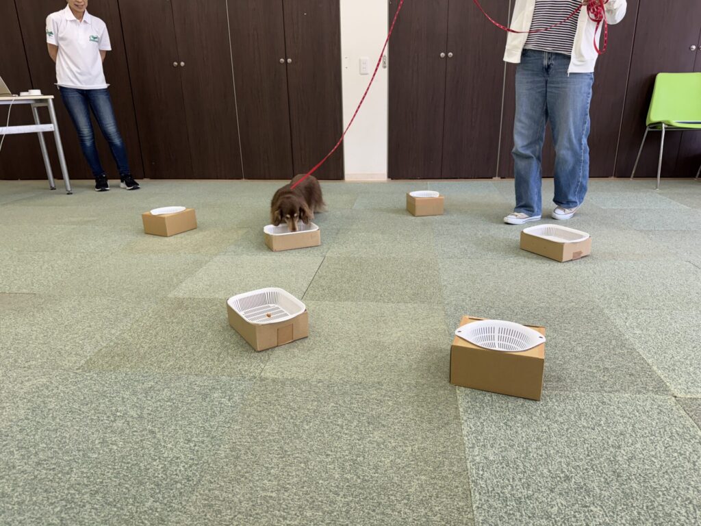 西宮のKENKENCLUBさんでノーズワークセミナー＆ワークショップ開催しました！