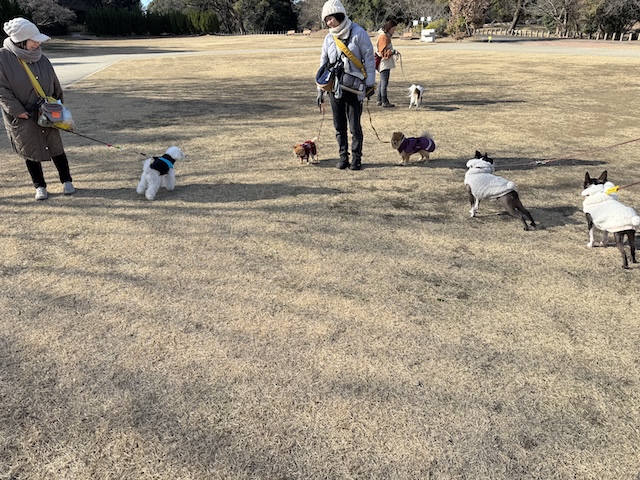 大高緑地お散歩会